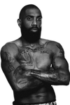Steven  Nelson