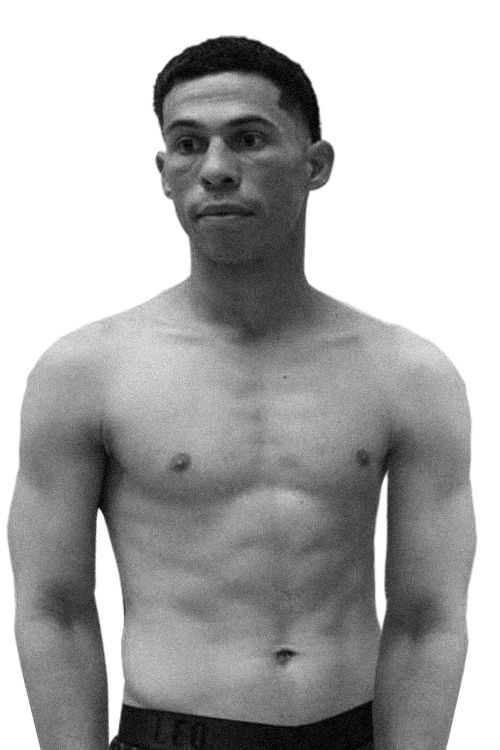 Дейнер Поло