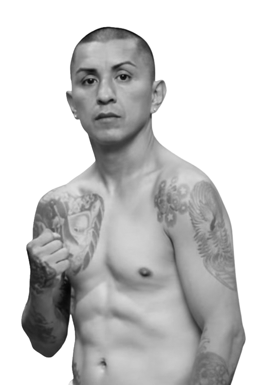 Armando  Hernandez Torres