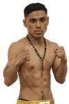  Hector Munguia Calderon