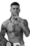 Nicolas Hernandez