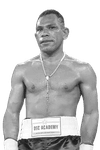 John Basan