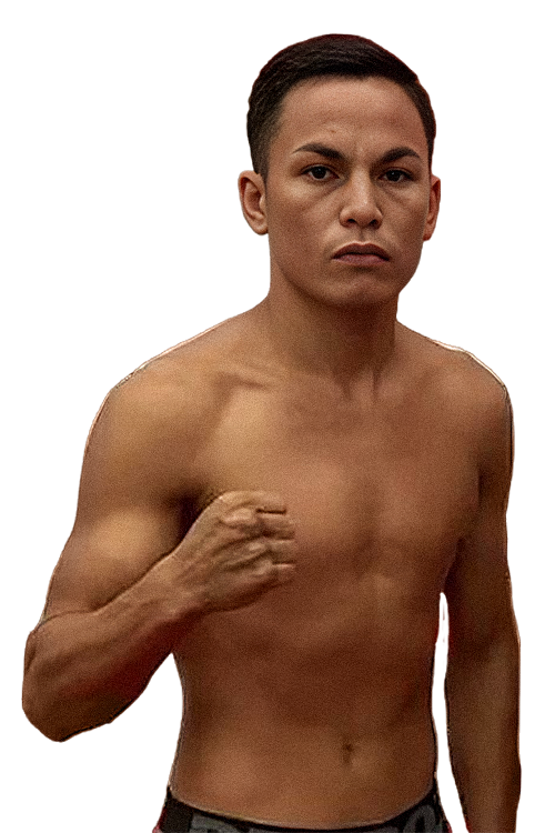 Fighter left