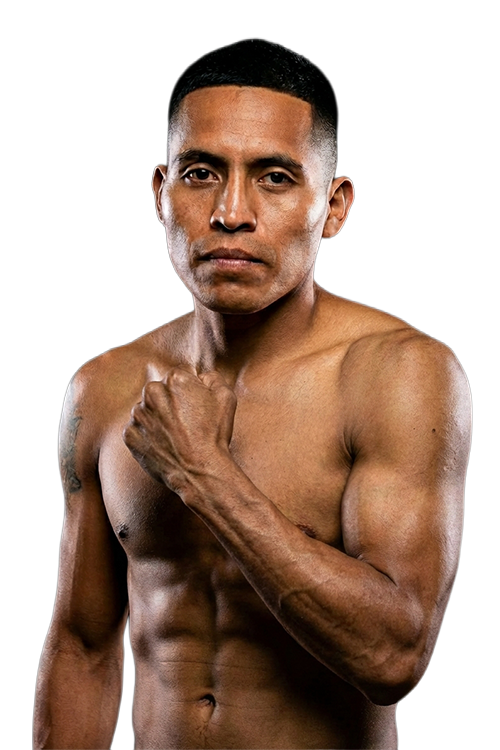 Florentino  Perez Hernandez