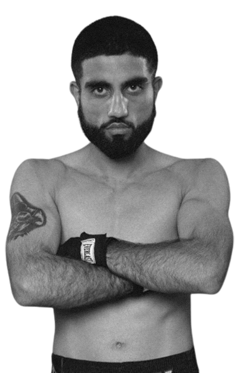 Галли Павар