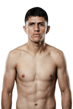 Следующий бой