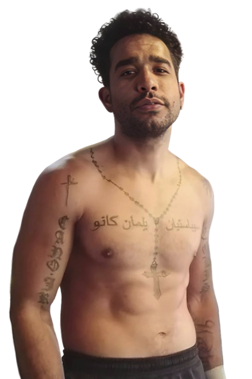 Вілманк Каноніко  Брітo