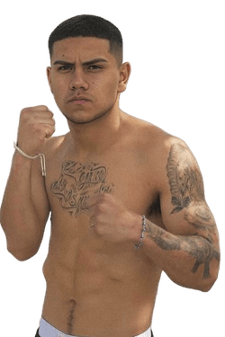 Следующий бой