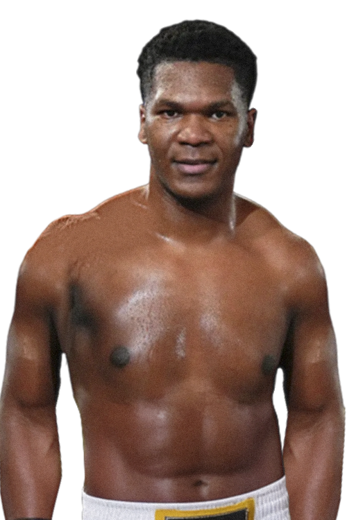 Дайниер  Перо