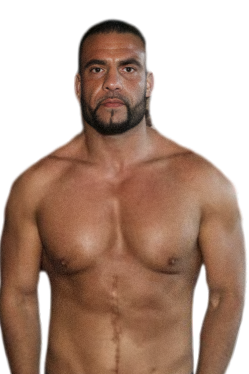 Mahmoud Charr