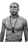 Mario Barrios 