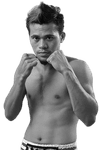  Vic Saludar