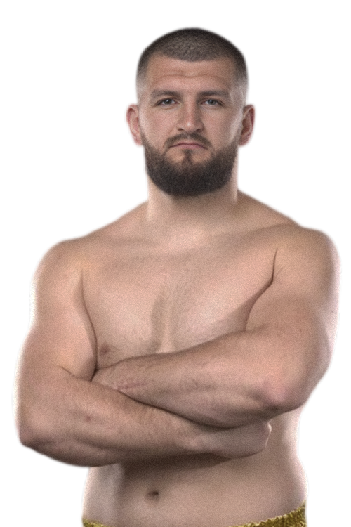 Ahmed Krnjic