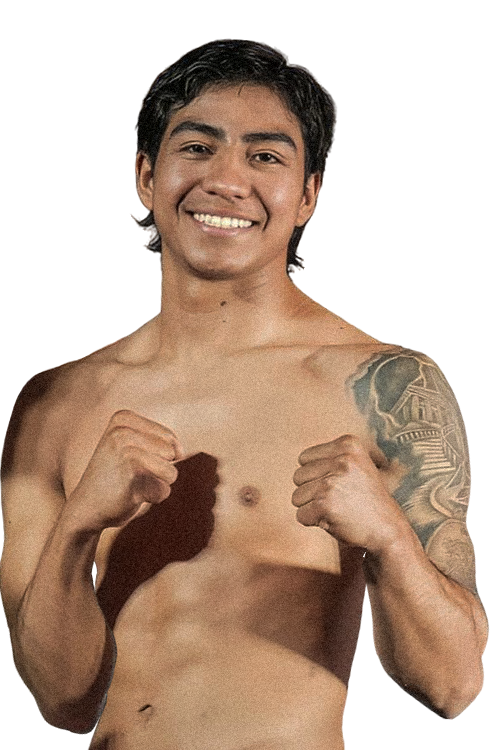 Emiliano Aguillon Castro