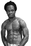 Hassan Mwakinyo