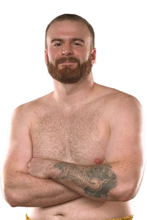 Цотне Рогава