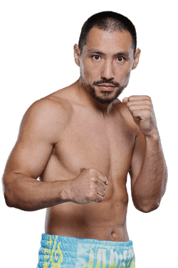 Následující zápas