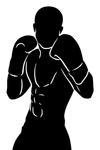 Waikato Falefehi