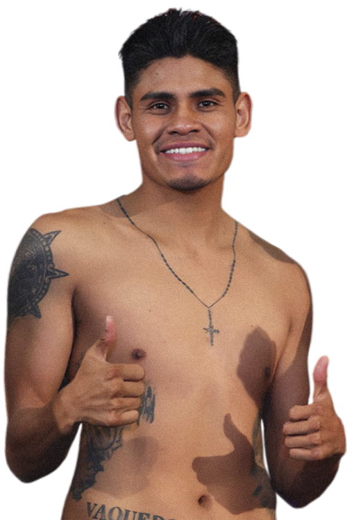 Fighter left