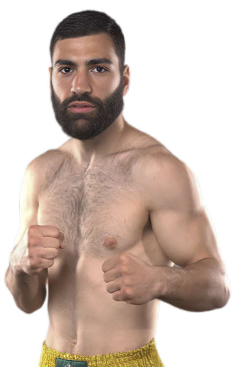 Ліпаріт Устян