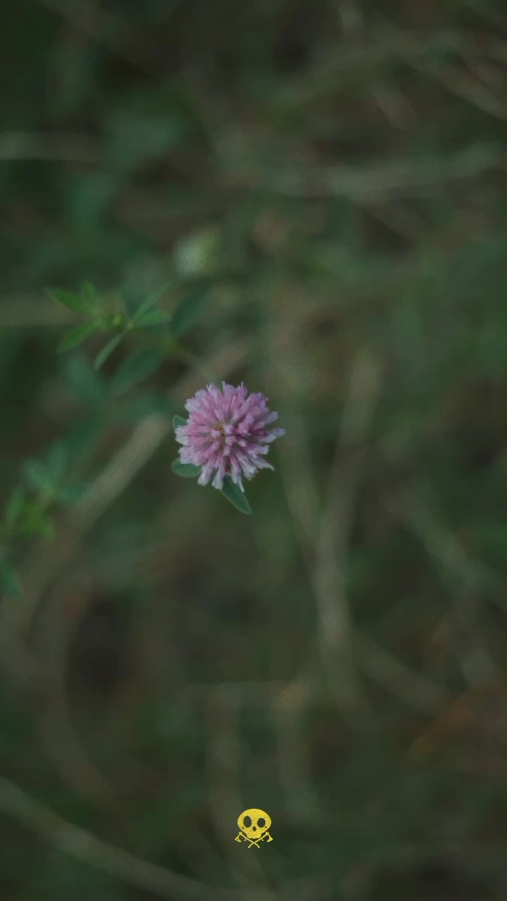 post preview image