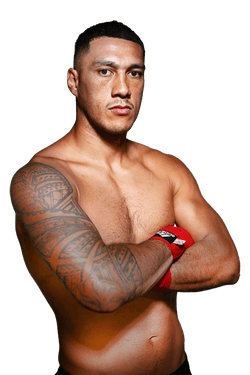 Následující zápas