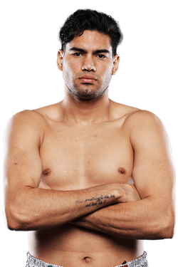 Следующий бой