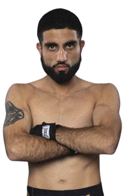 Галли Павар