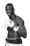 Al Sands