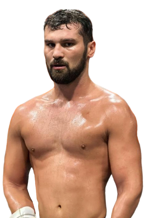 Гвидо  Вианелло