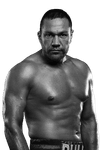 Kubrat Pulev