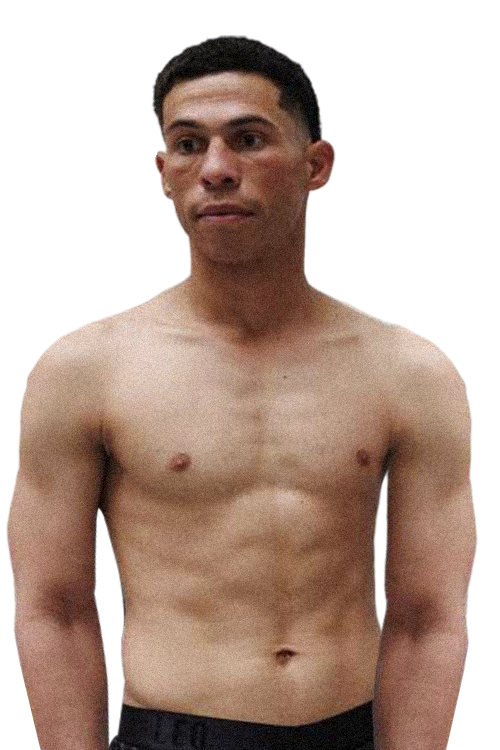 Дейнер ﻿ Поло﻿