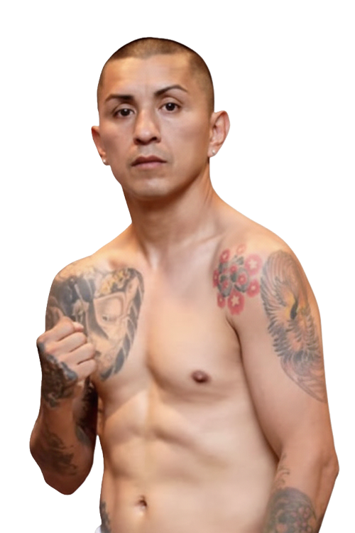 Armando  Hernandez Torres