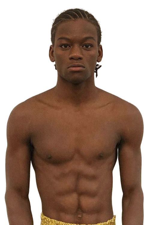 Idris Timileyin Gbadamosi