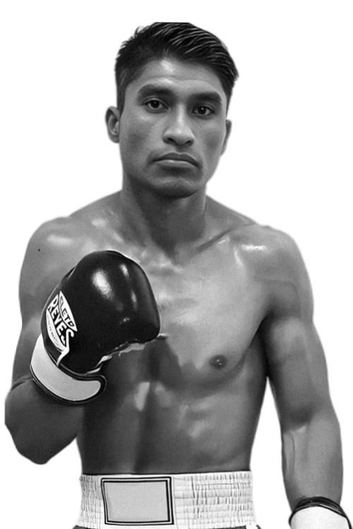 Rene Calixto  Bibiano