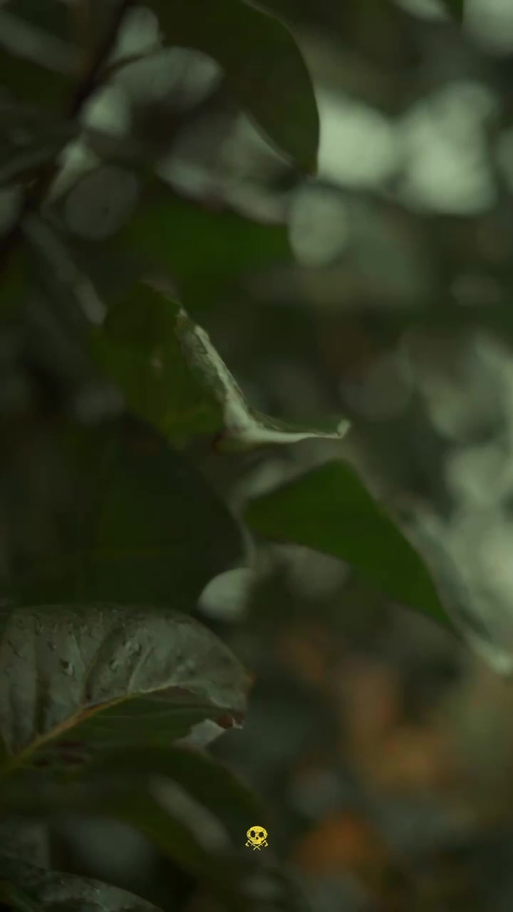 post preview image