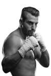 David Lemieux
