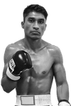 Rene Calixto  Bibiano
