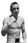 Dylan Emery