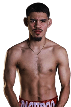 Následující zápas