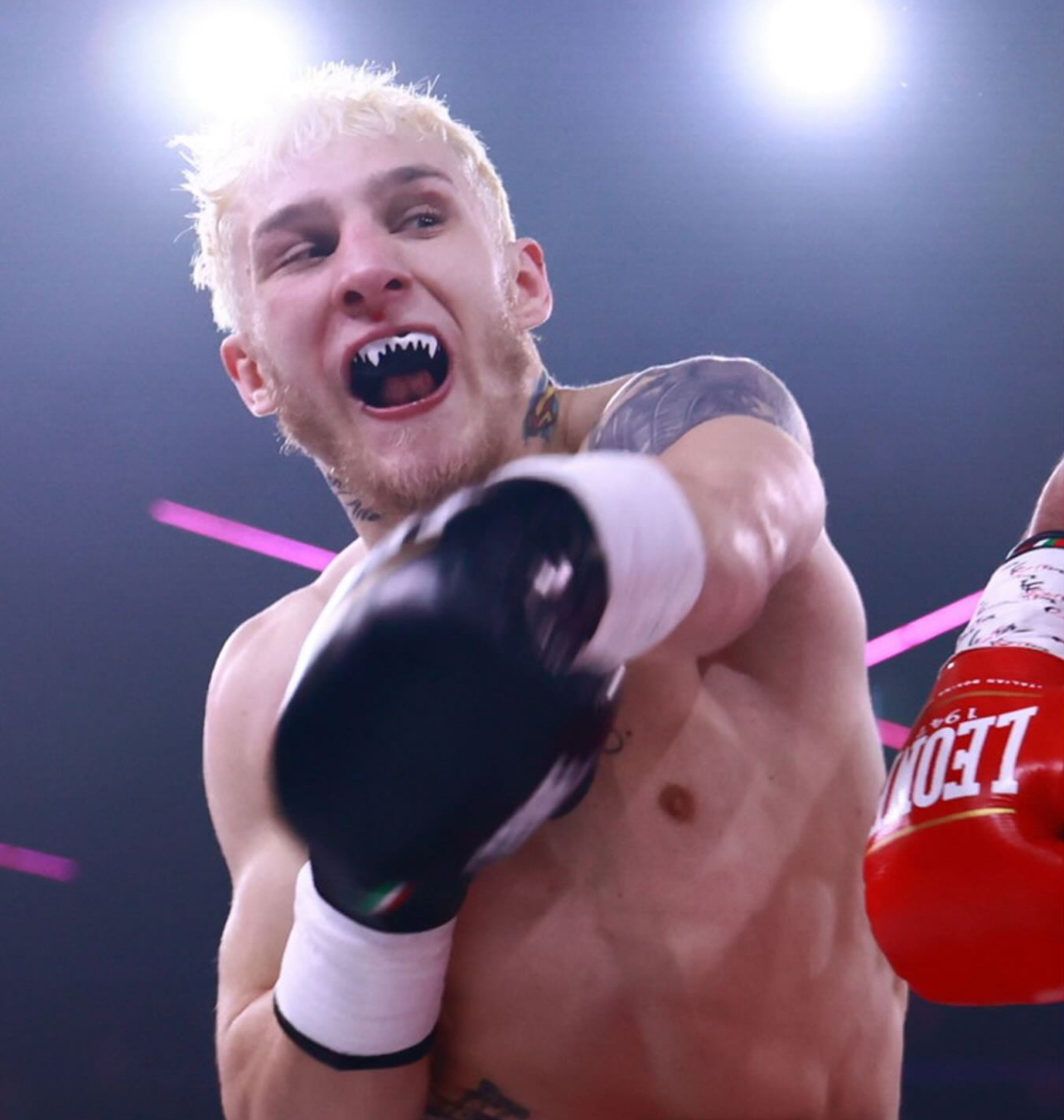 Boxing Night in Kyiv: Boryshpolets Victorious in the Main Event - Ready ...